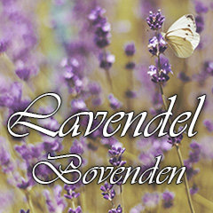 Lavendel - Bovenden Lavendel - Bovenden